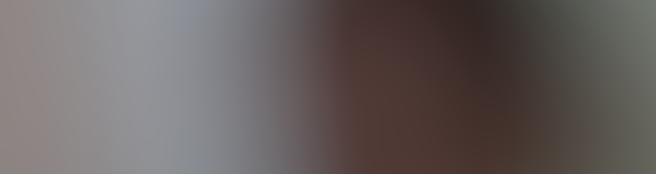 EscribaValdemir-Bolsonaro