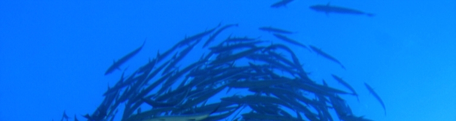 Rousseau Jean-François