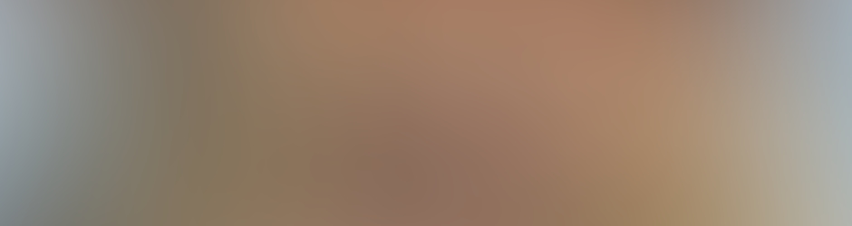 ALEXANDRE CAMPOS SILVA