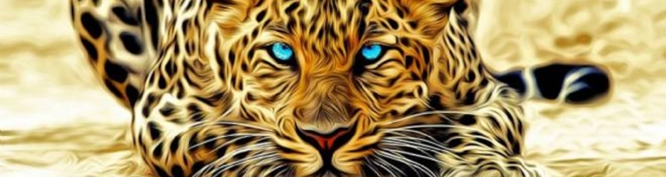 Ömer Taha Yıldırım