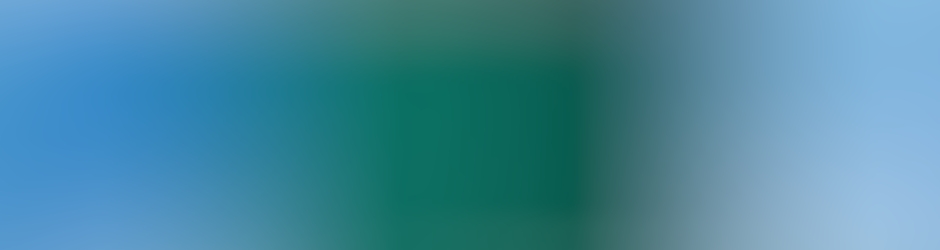 Muhammad Imran Qadri