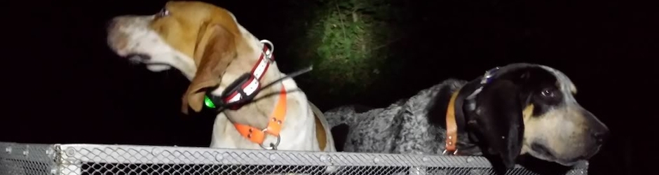 Plain English Kennel JR Cartwright