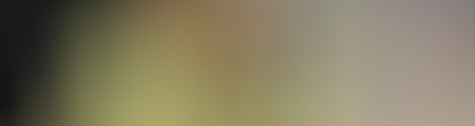 Pakistan Television (PTV)