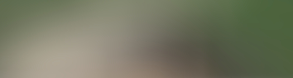 ケイイチロウ 戸崎