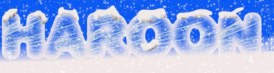 Muhammad Haroon Hayat