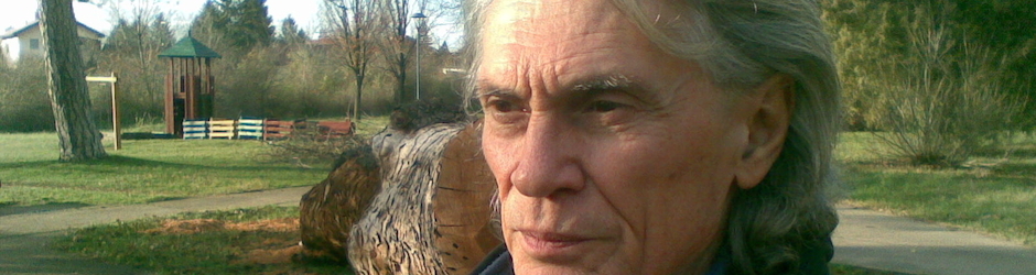 dusan dusan nadrljanski