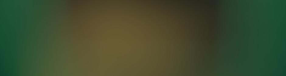 Kamolphop Rungcharoen