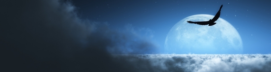 Stop Stress & Relax!