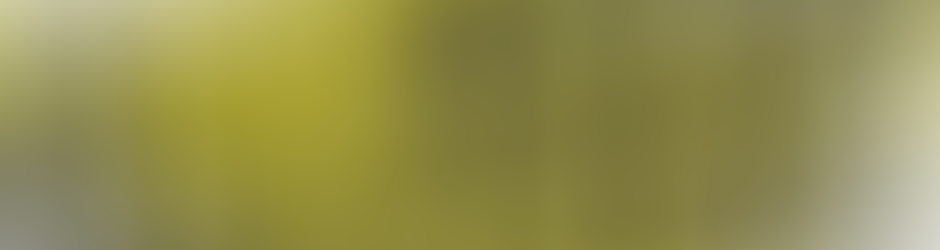 Asso La Désopilante