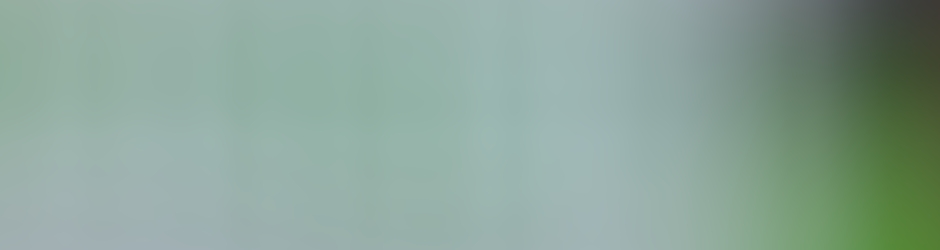 Free Microsoft Points