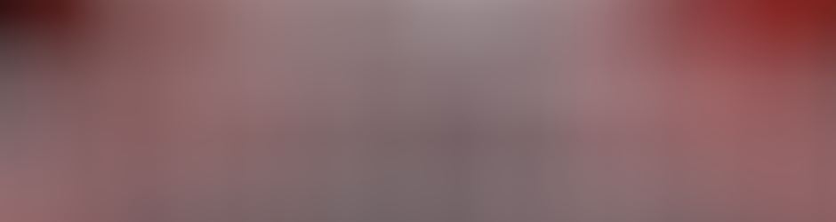 Imagens Armando Leitão