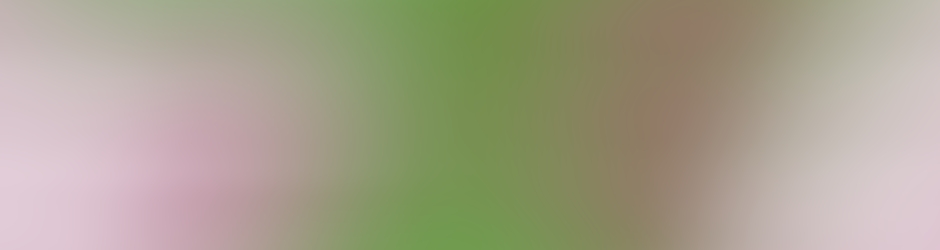 GO91 Volley-ball Gasny