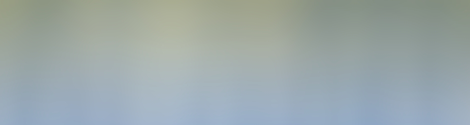 AllCustodianServices