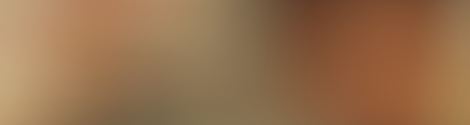 摸魚記錄誌 Andy Shieh