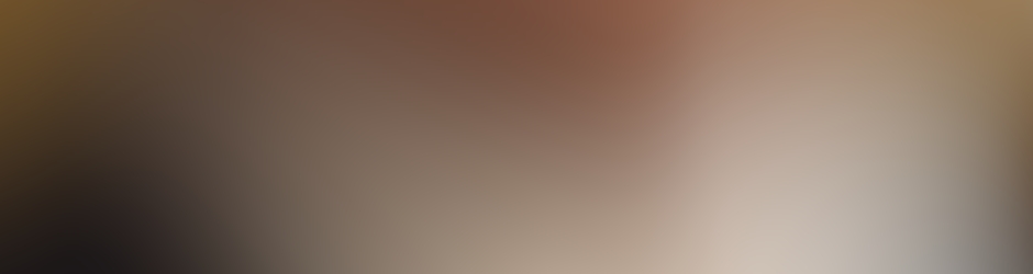 Zen Windows Atlanta GA