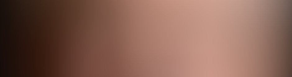 ZenWindowsAustinTexas