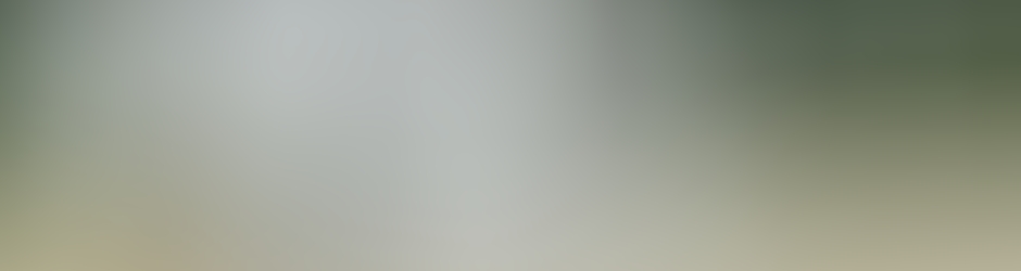 Dorothée Laborde Dessart