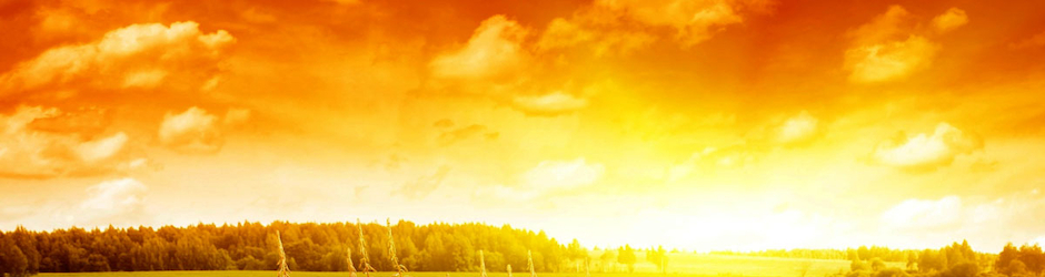 pdppdp66 Petkov Petko Denev