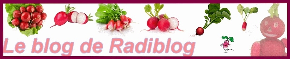 radiblog
