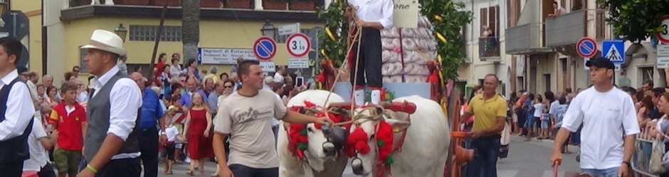 Team di Cepagatti on Line