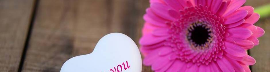 sil baştan başlamak gerek