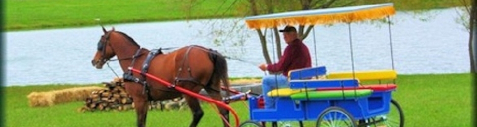 Buggy Bobs Carriage Co