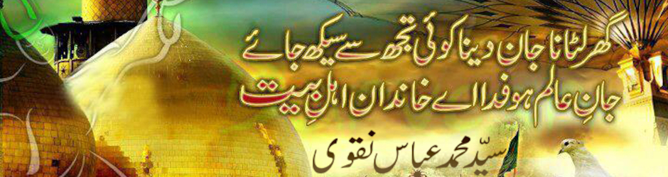 Syed Muhammad Syed Muhammad Abbas Naqvi