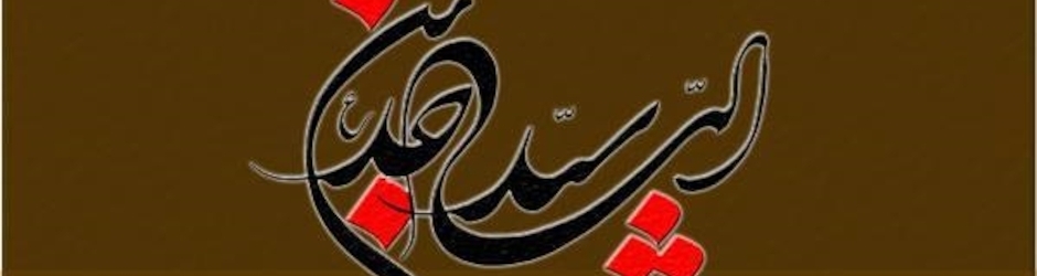 Syed Muzamil Ali Shah