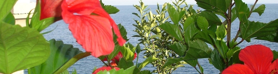 ShkodraOfficial Albania