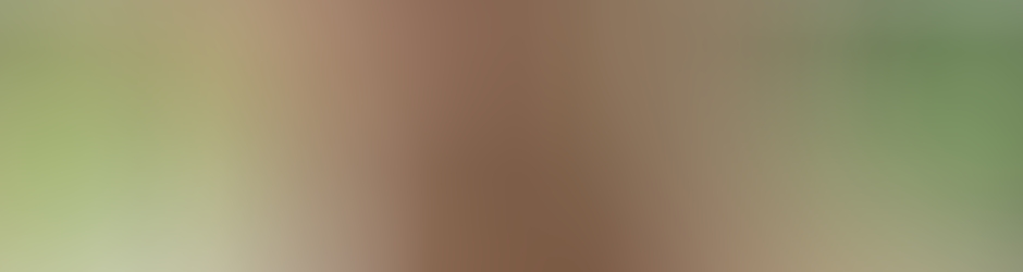 Carlos Morán Lozano