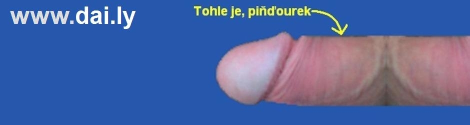 Milan Pikachu30 Linhart