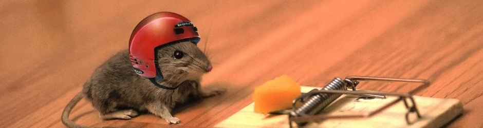 Best Possible Solution