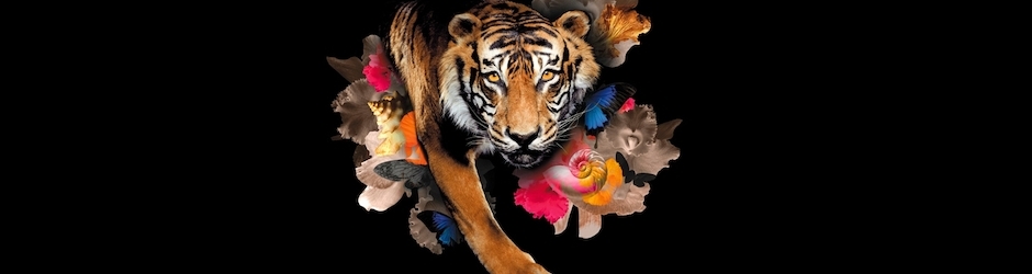 Muséum national d'Histoire naturelle