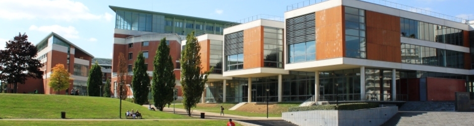 Institut d'études culturelles et internationales