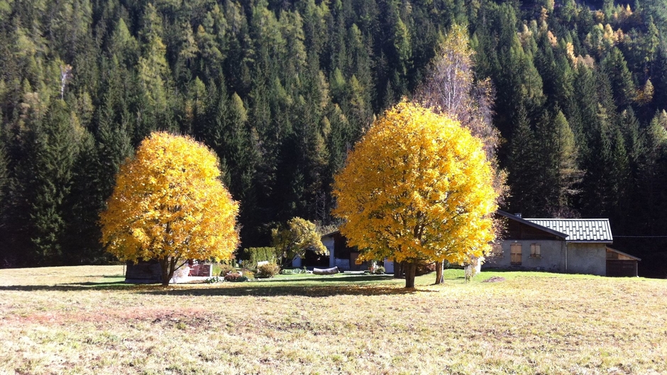 atelierdupetitchemin