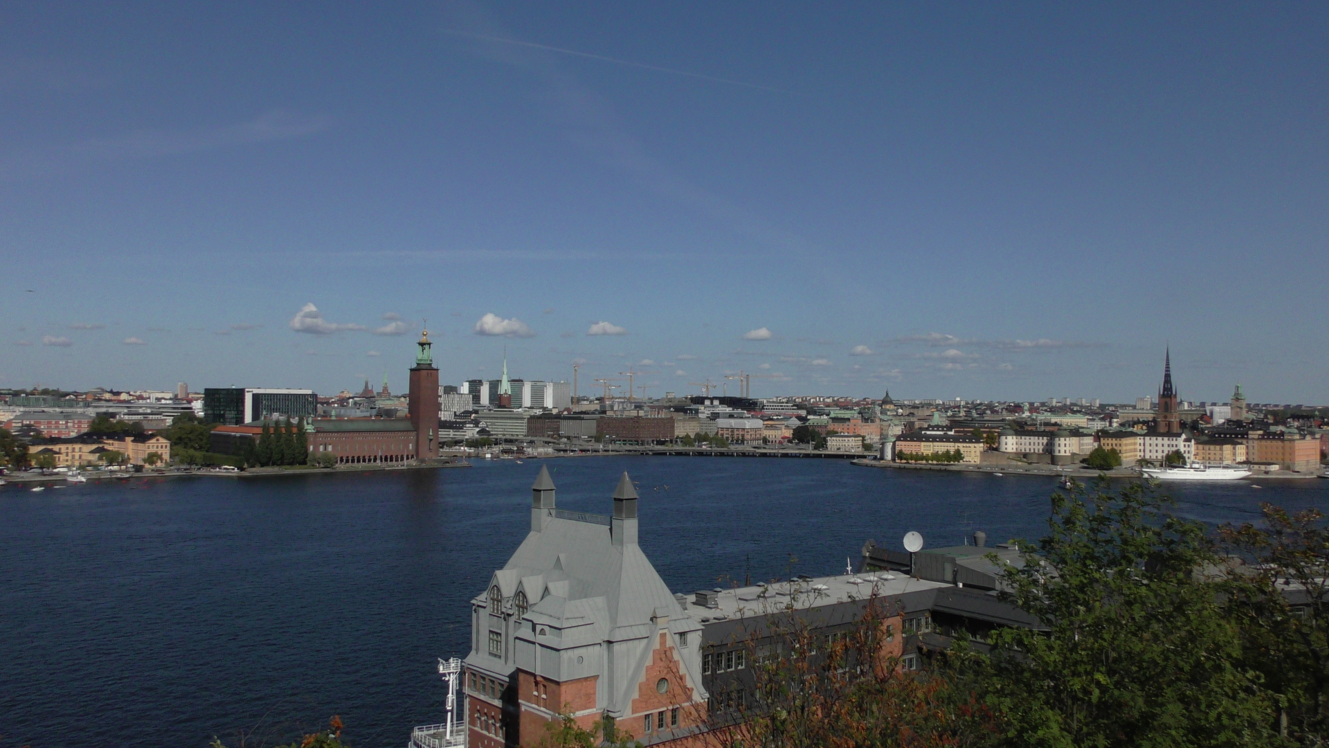 All the Elevators! - By SummerADDE