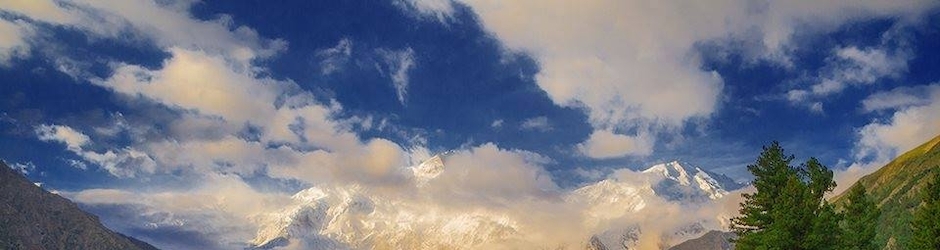 Muhammad Kaleem Ullah