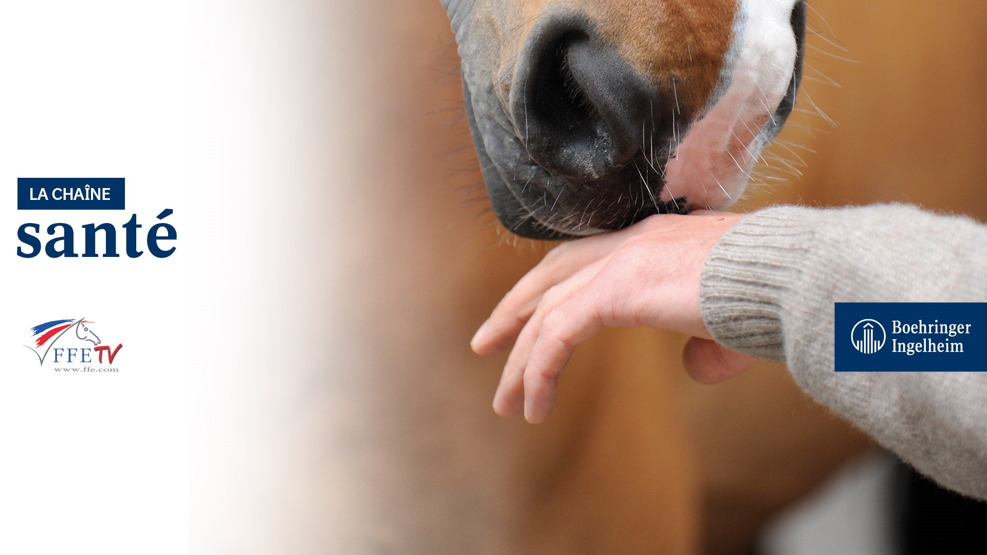 LA CHAÎNE SANTÉ BOEHRINGER INGELHEIM