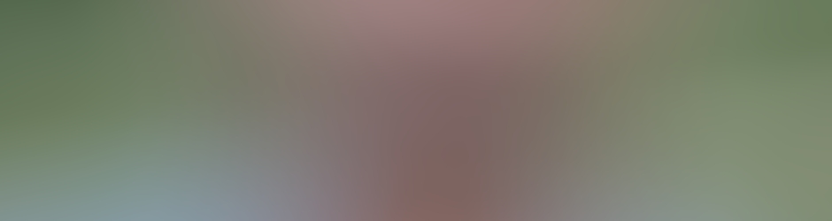 SAJID ALI YOUSUF ZAI