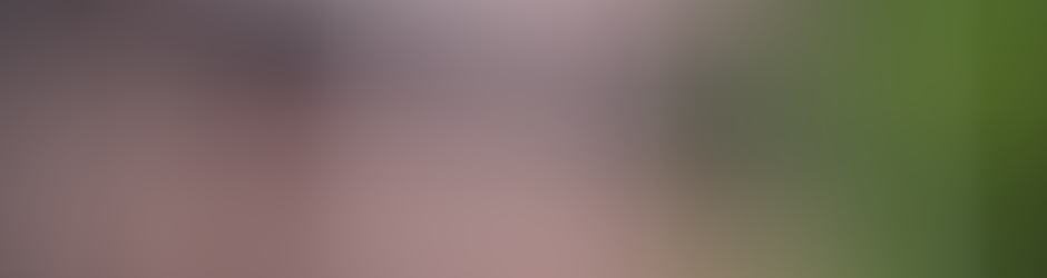 Dailymotion banner for @macartsjr