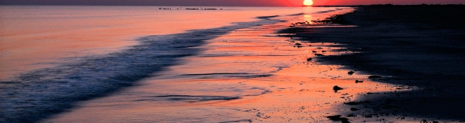 Webkonsept Web Tasarımı