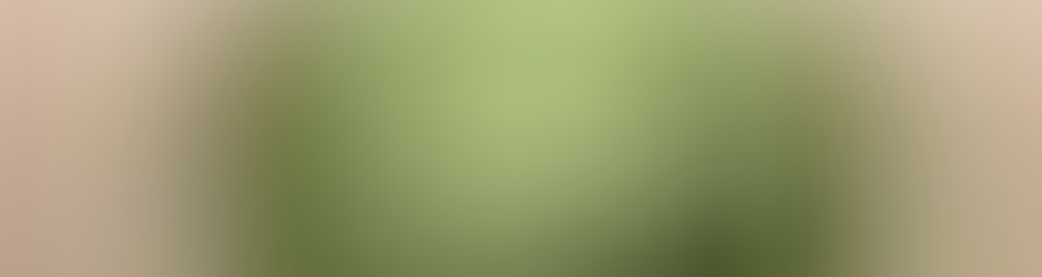 Totalenergyinstallation