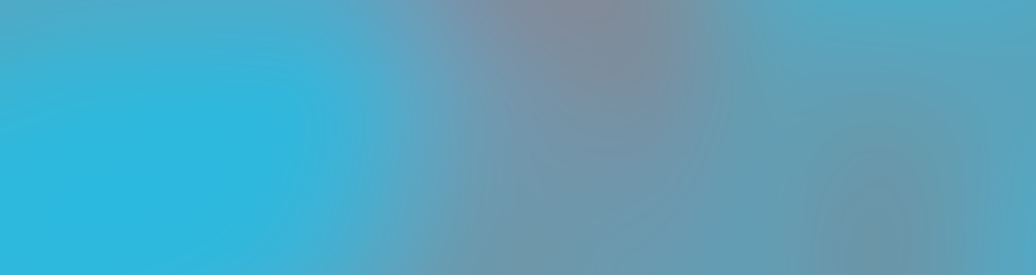 auxiliaires du sacerdoce