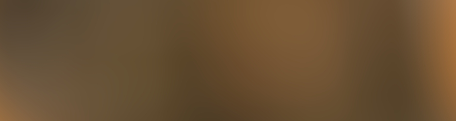 Loicchristinetrebern