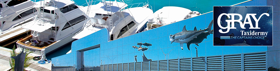 Gray Taxidermy
