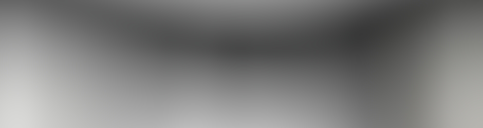 Choeshapkido Karate Duluth