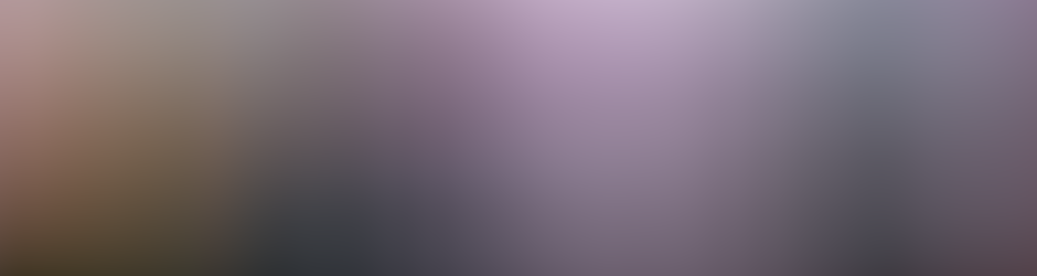 Orchestre MULTI-MELODY'S