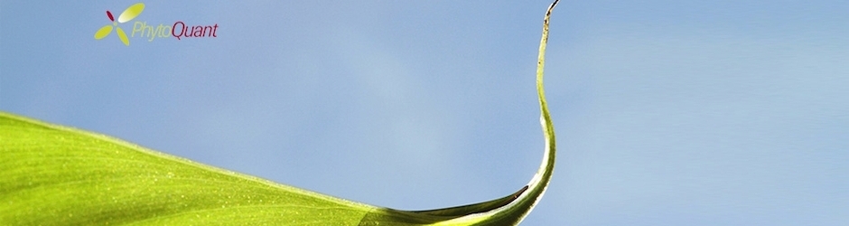 PHYTOQUANT