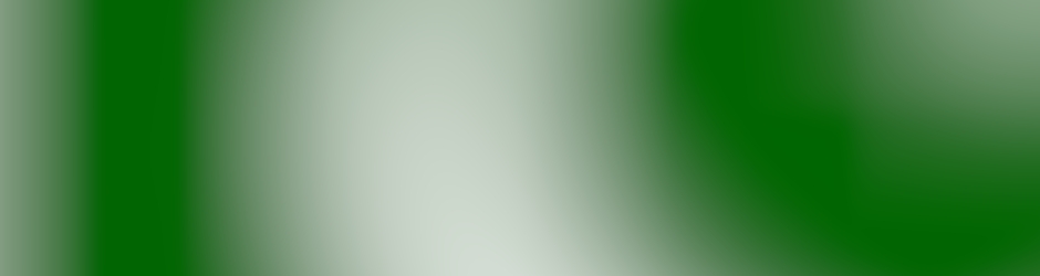 MMS - MellU Music Store