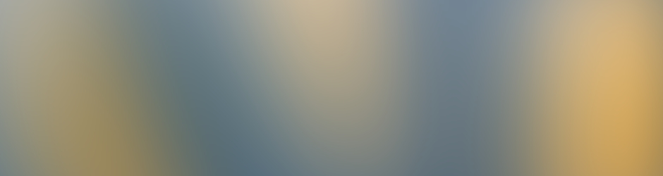 Collection Services, Inc.